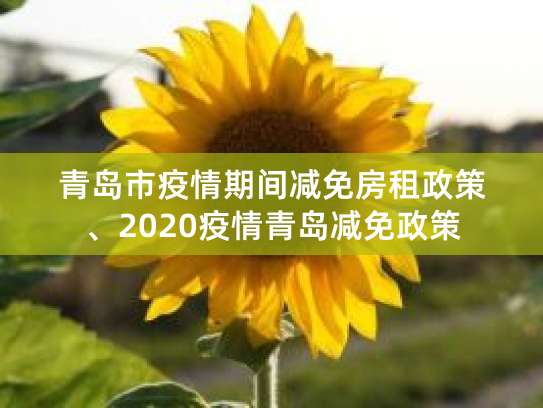 疫情期间房租减免政策：国有与非国有房屋承租情况全解析