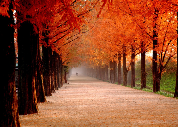 疫情数据下的社会百态：生命至上与公众心态的悄然转变