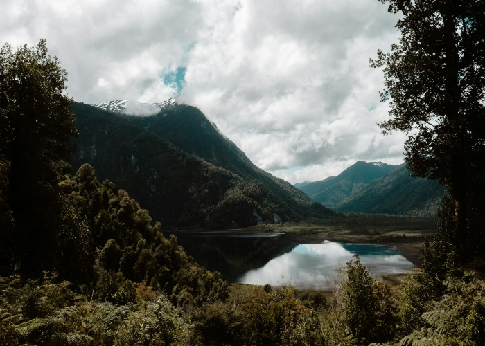 新疆新增9例本土确诊病例，疫情防控面临挑战与应对