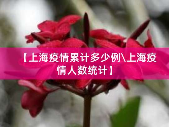 上海疫情形势严峻，累计感染者超7.3万例，专家详解原因