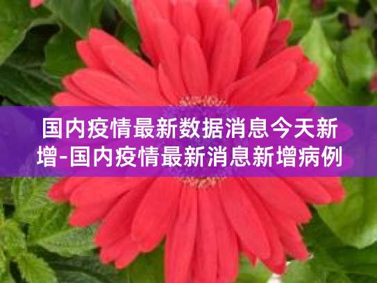 国家卫健委通报每日新增确诊病例数，含本土及境外输入情况