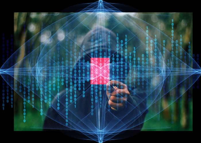 11月11日陕西新增本土确诊和无症状病例情况及全国新增情况