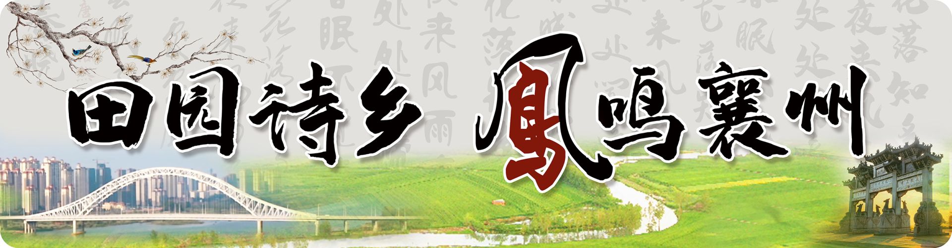 国务院联防联控机制回应疫情政策落实及热点问题